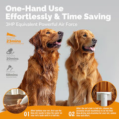 2-in-1 Pet Hair Dryer & Grooming Brush with 4 Nozzles