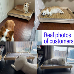 HOLGVE Elevated Wooden Pet Bed with Mattress for Dogs & Cats
