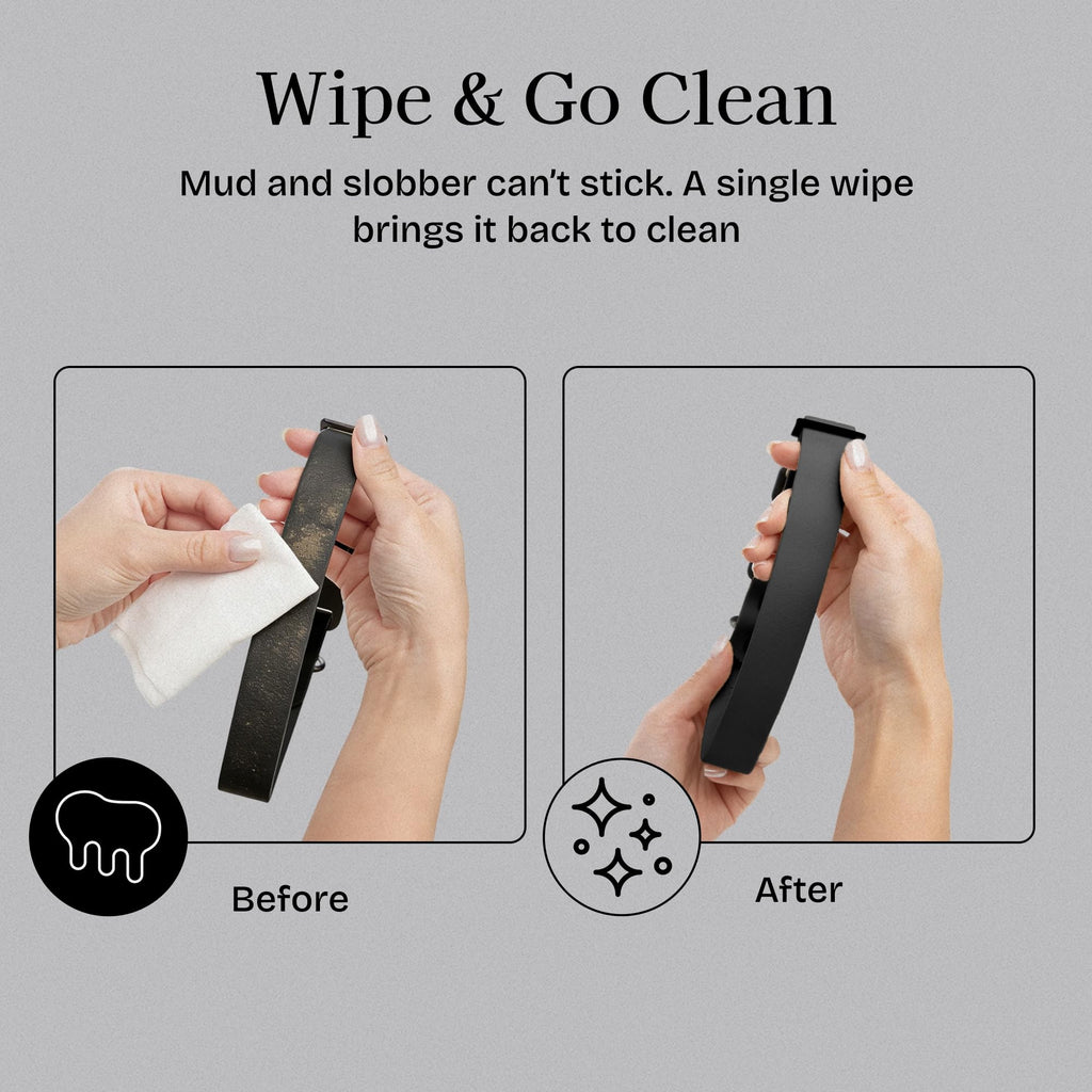 Fei & Eve PVC Dog Leash,Easy-Clean