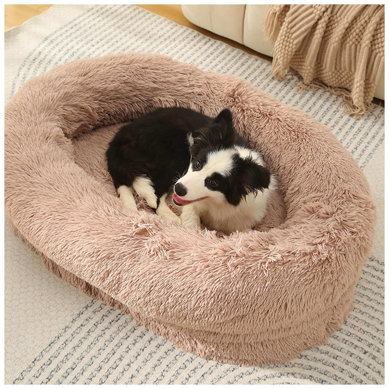 CUIYMXSC Fluffy Dog Bed, Cat Beds for Indoor Cats, Bedding & Furniture for Dogs Cat Beds for Indoor Cats Clearance Dog Beds Indoor Dog Calming Beds (Beige L)