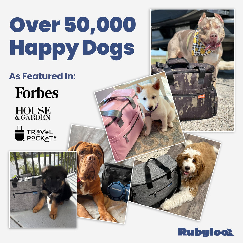 Rubyloo Pet Feeder Dog Bowl - The Original Doggy Bag™ - Ultimate Gift for Dog Owners - Includes 2 BPA-Free Travel Bowls and 2 Food Containers - Pet Travel Kit for Road Trips, Camping, RV