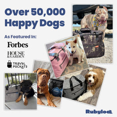 Rubyloo Doggy Bag Travel Feeding Kit with Bowls & Containers