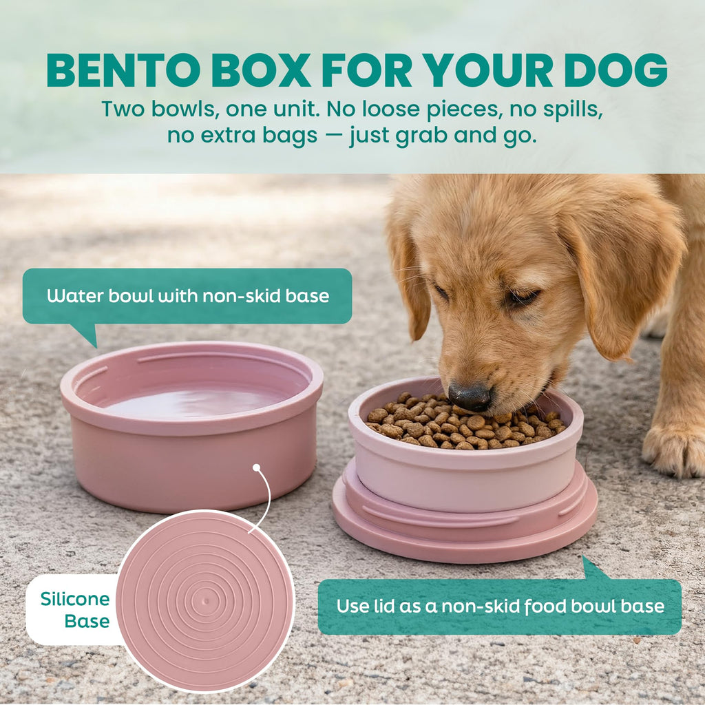 KindTail Dog Travel Bowls - Set of 2 Portable Pet Food & Water Dishes with Lid & Handle - Each Nesting Container Includes a Non-Slip Silicone Base - Microwave & Dishwasher Safe - BPA & Toxin-Free