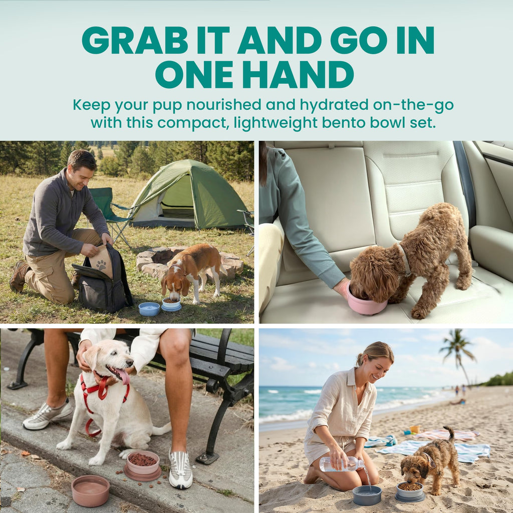 KindTail Dog Travel Bowls - Set of 2 Portable Pet Food & Water Dishes with Lid & Handle - Each Nesting Container Includes a Non-Slip Silicone Base - Microwave & Dishwasher Safe - BPA & Toxin-Free