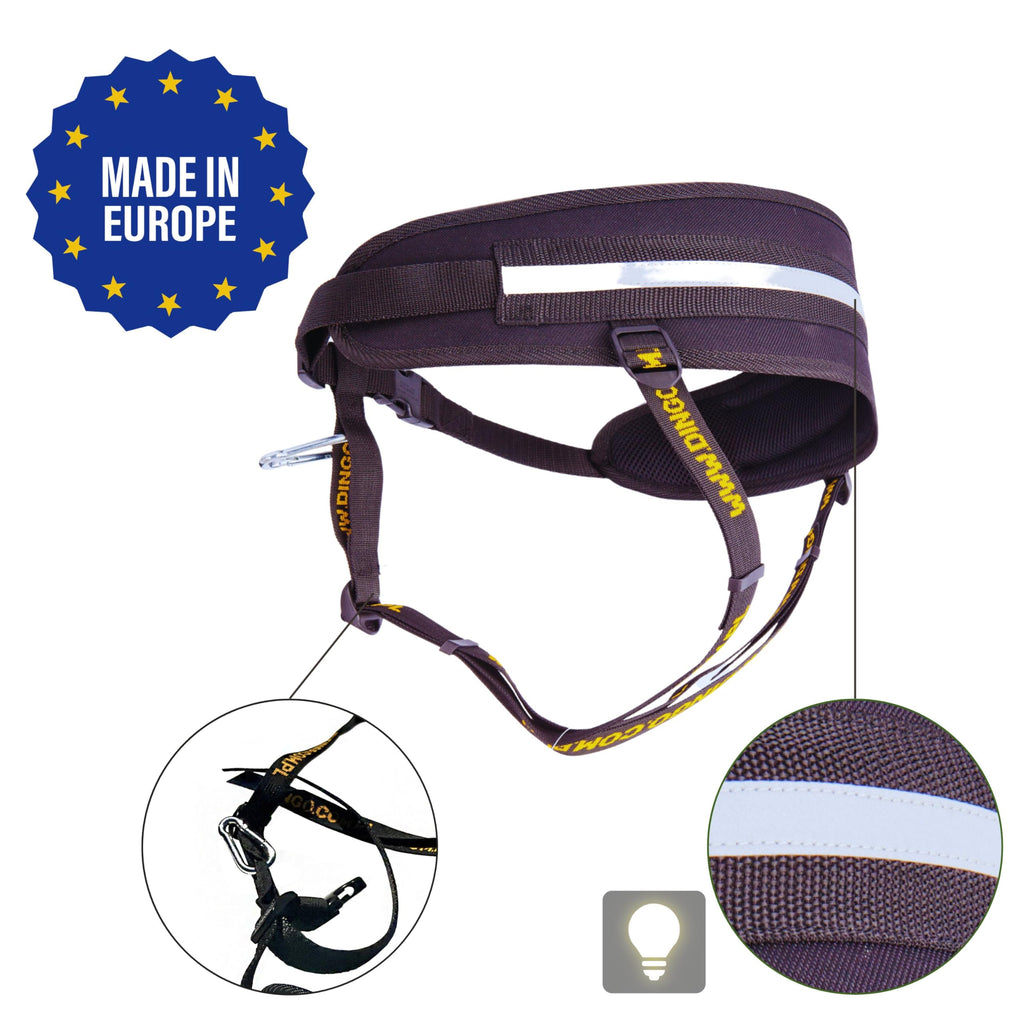Dingo Hands Free Leash and Belt for Walking and Running with Dog, Bungee Training Leash