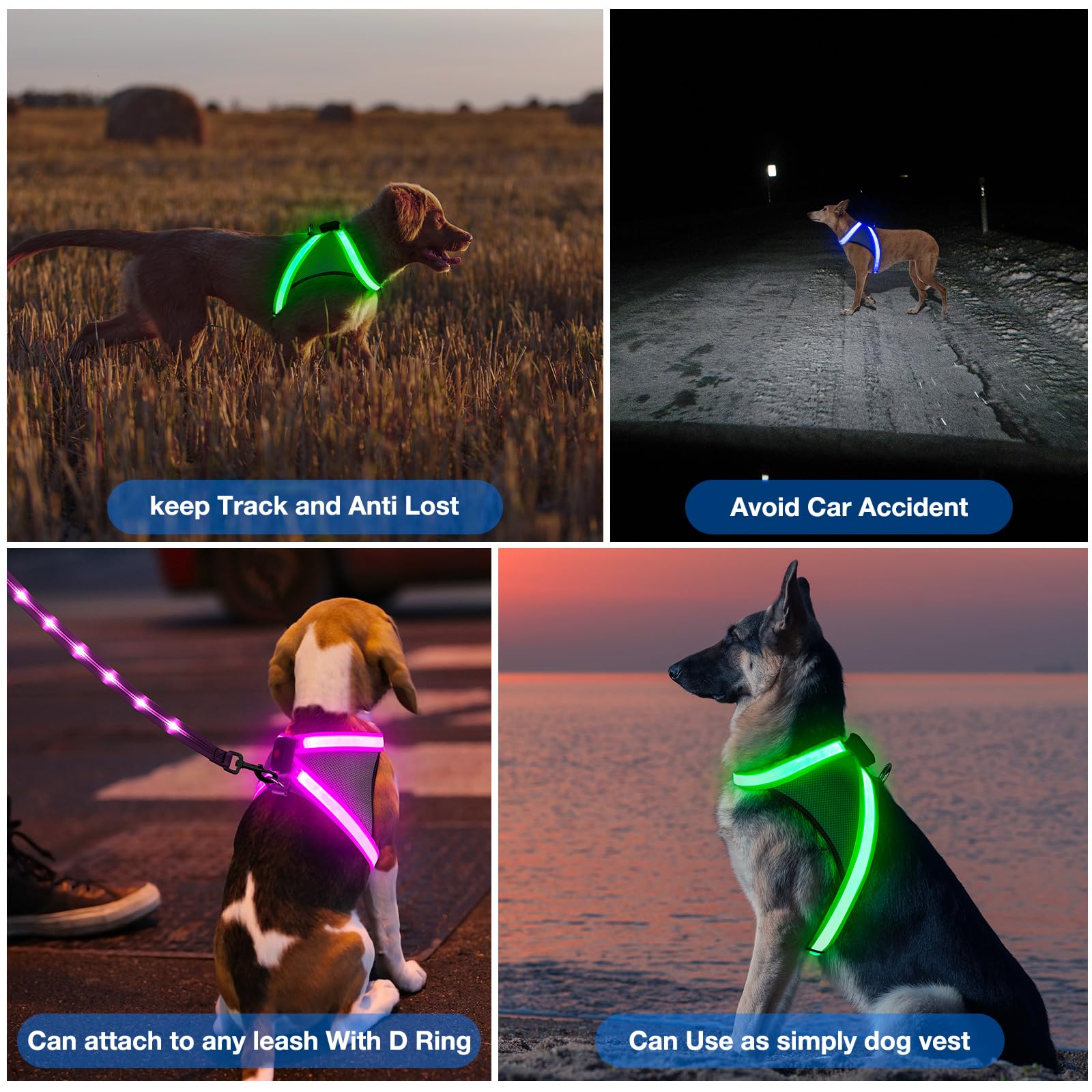 ChalkLit Light Up Dog Harness