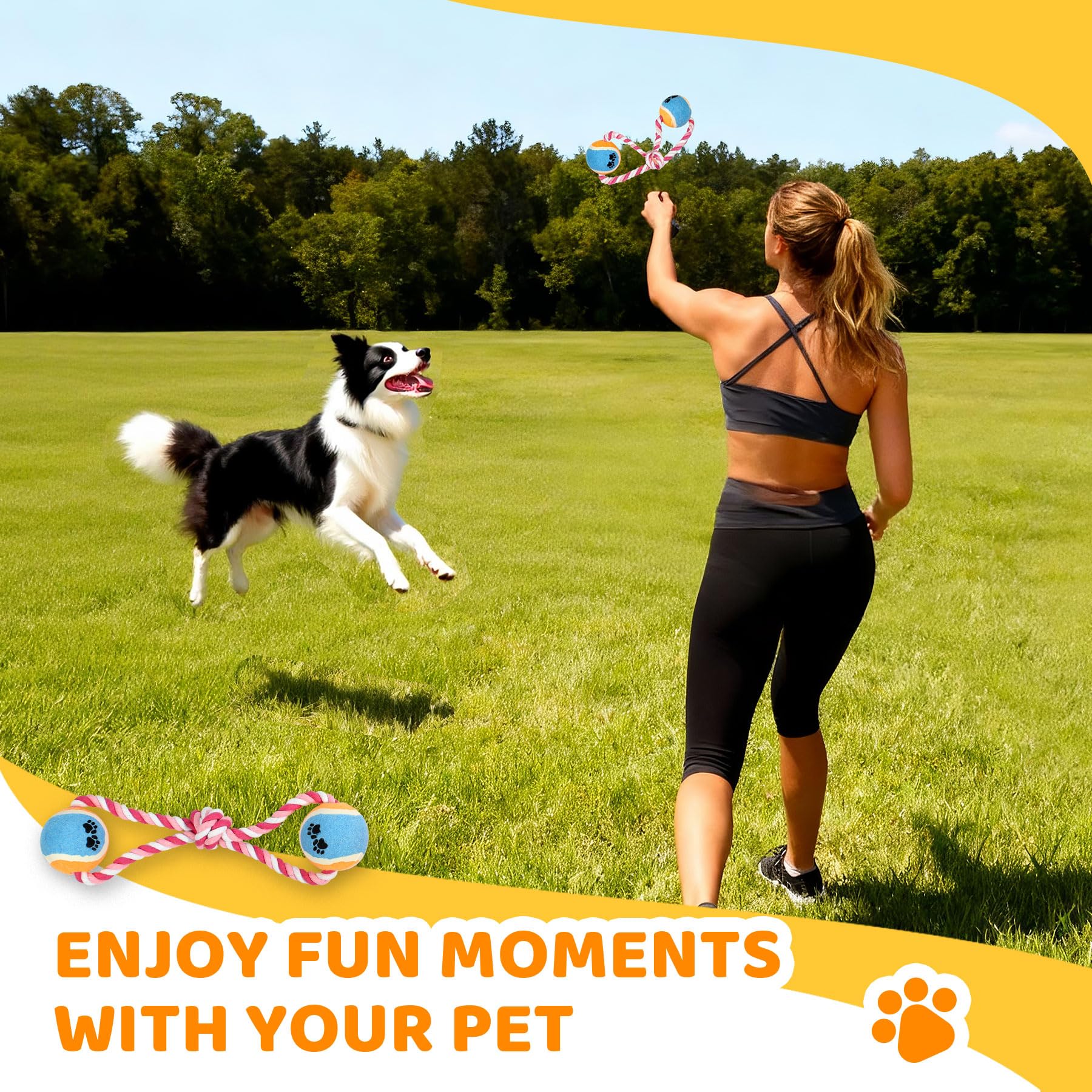 POPMOON Agility Training Equipment for Dogs