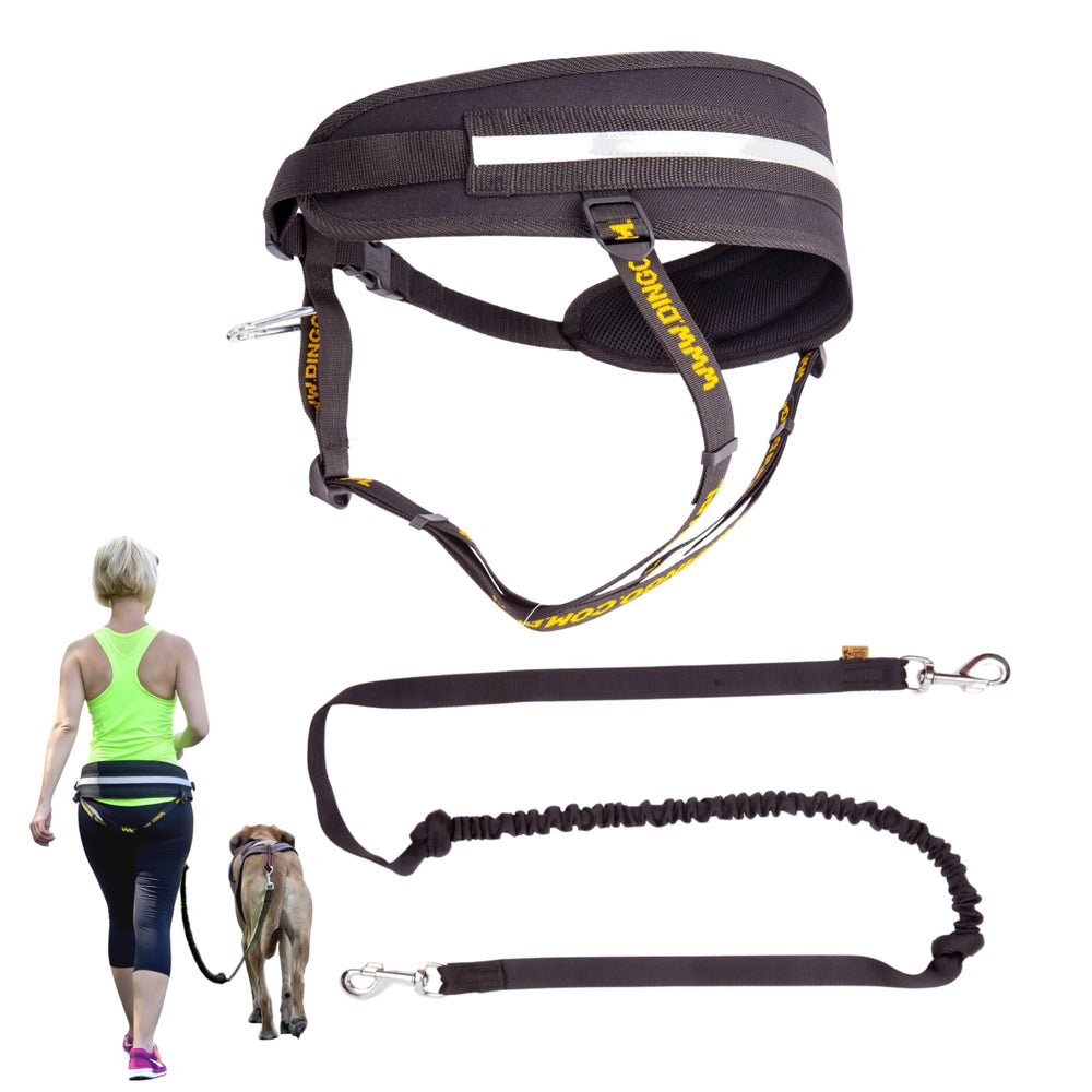 Dingo Hands-Free Dog Leash & Running Belt with Bungee