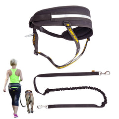 Dingo Hands-Free Dog Leash & Running Belt with Bungee