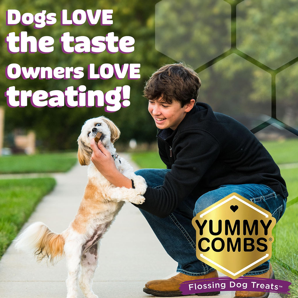 Yummy Combs Dog Dental Treats (36oz, 45ct) & Longevity15 Supplement (3 Pack) Bundle – VOHC Approved Dental Protein Treat – C15:0 Fatty Acid Health Supplement – for Extra Large Dogs